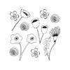colouring book page with 10 flowers